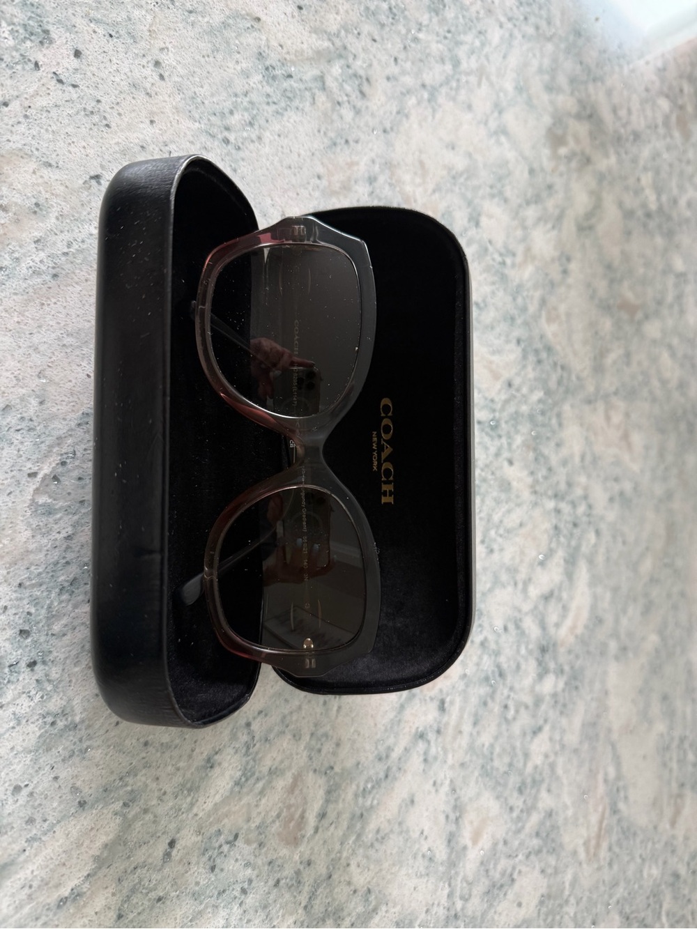 Coach Oversized Sunglasses in Brown and Black